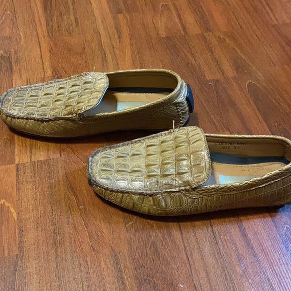 Gators - Picture 3 of 4